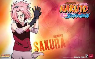 忍者之路小樱爆料视频,小樱揭秘忍者世界幕后真相