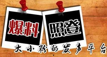 庆阳本地新闻爆料平台官网